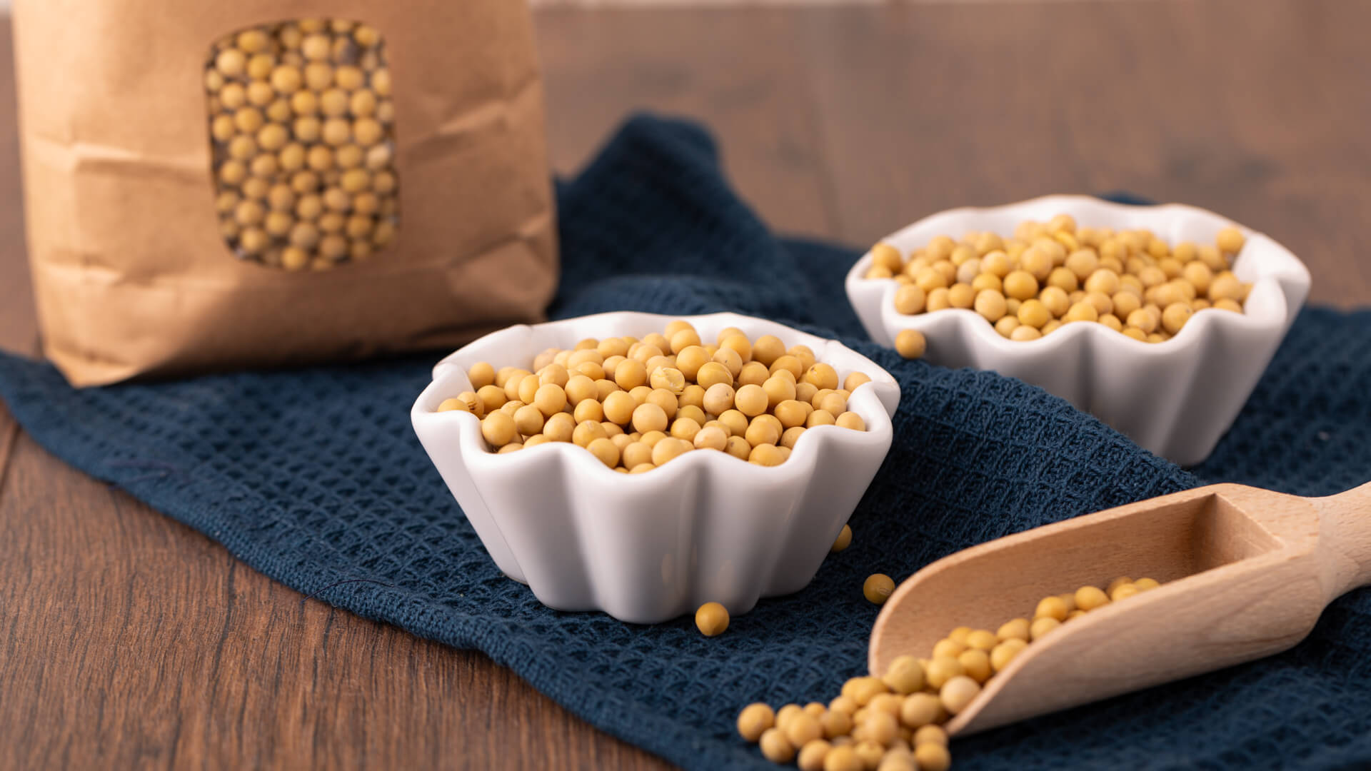 Sojabohne - Asiatische Proteinbombe