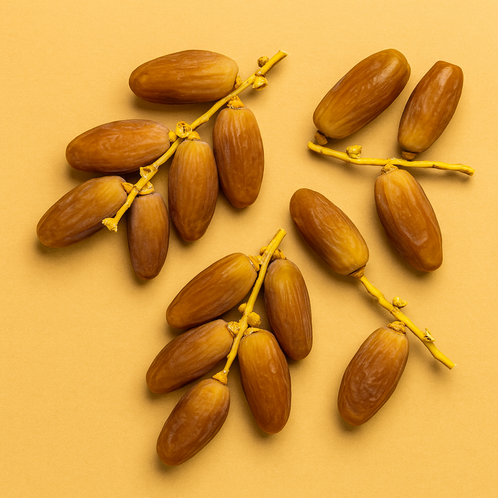 Bio Deglet Nour Datteln am Zweig | 5 kg Box | unverarbeitet mit Kern