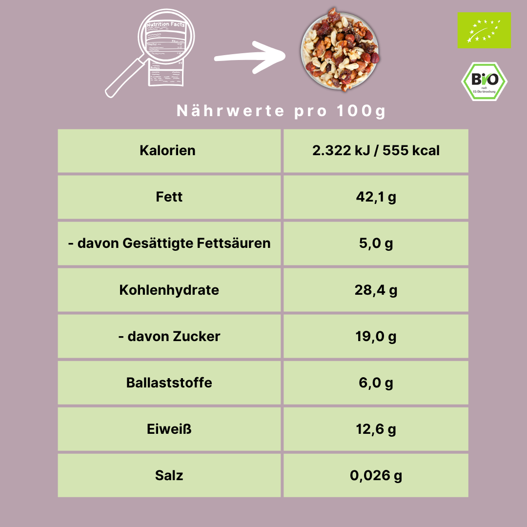 Bio Studentenfutter | "Dattelnuss" | mit köstlichen Deglet Nour Datteln