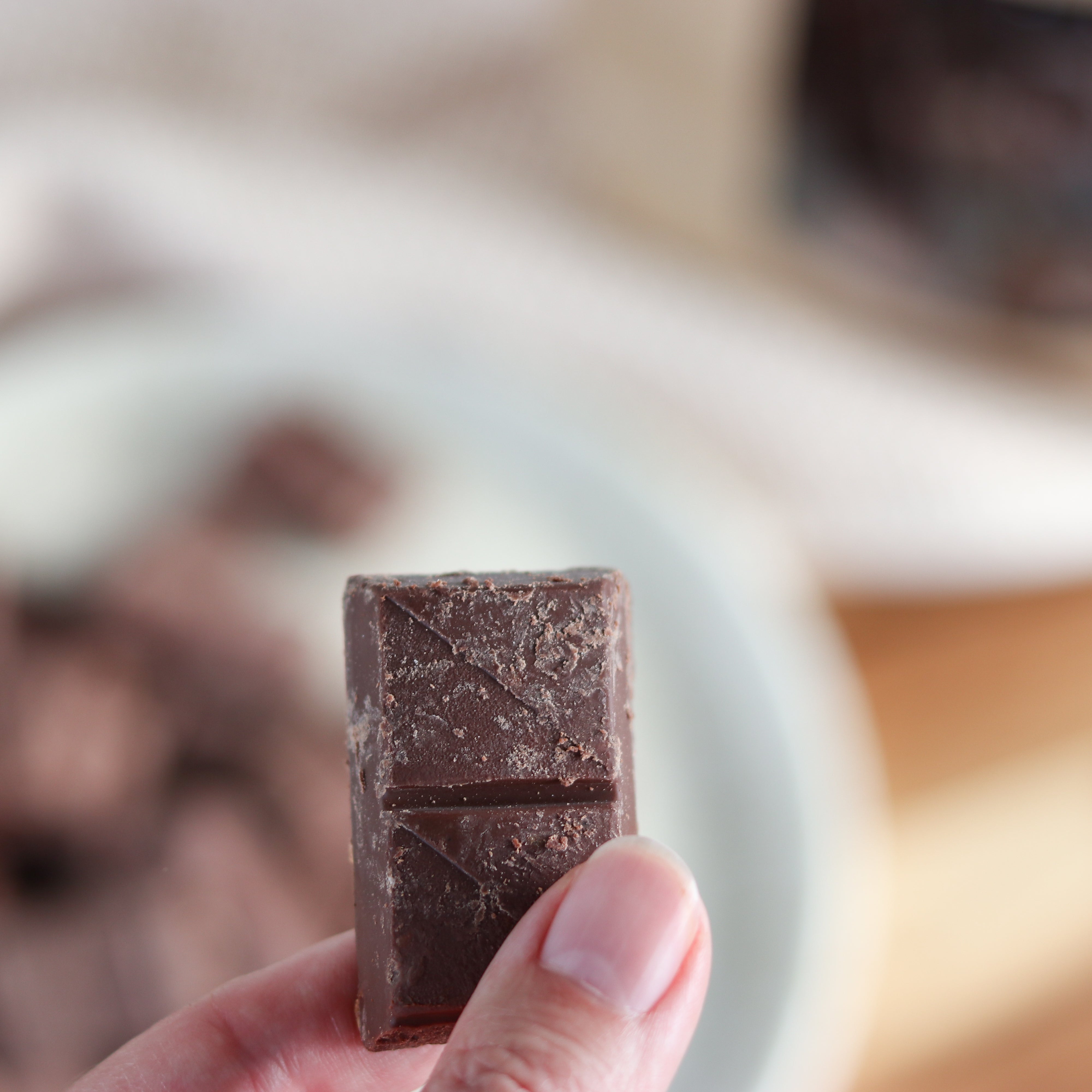 Bio Schokolade | Nougat-Krokant | vegan