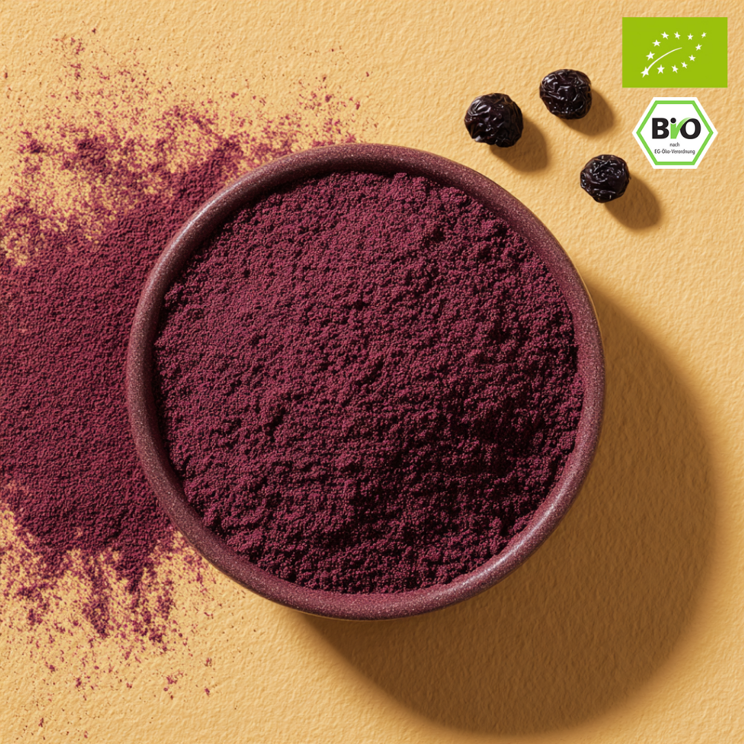 Bio schwarzes Johannisbeeren Pulver | gefriergetrocknet