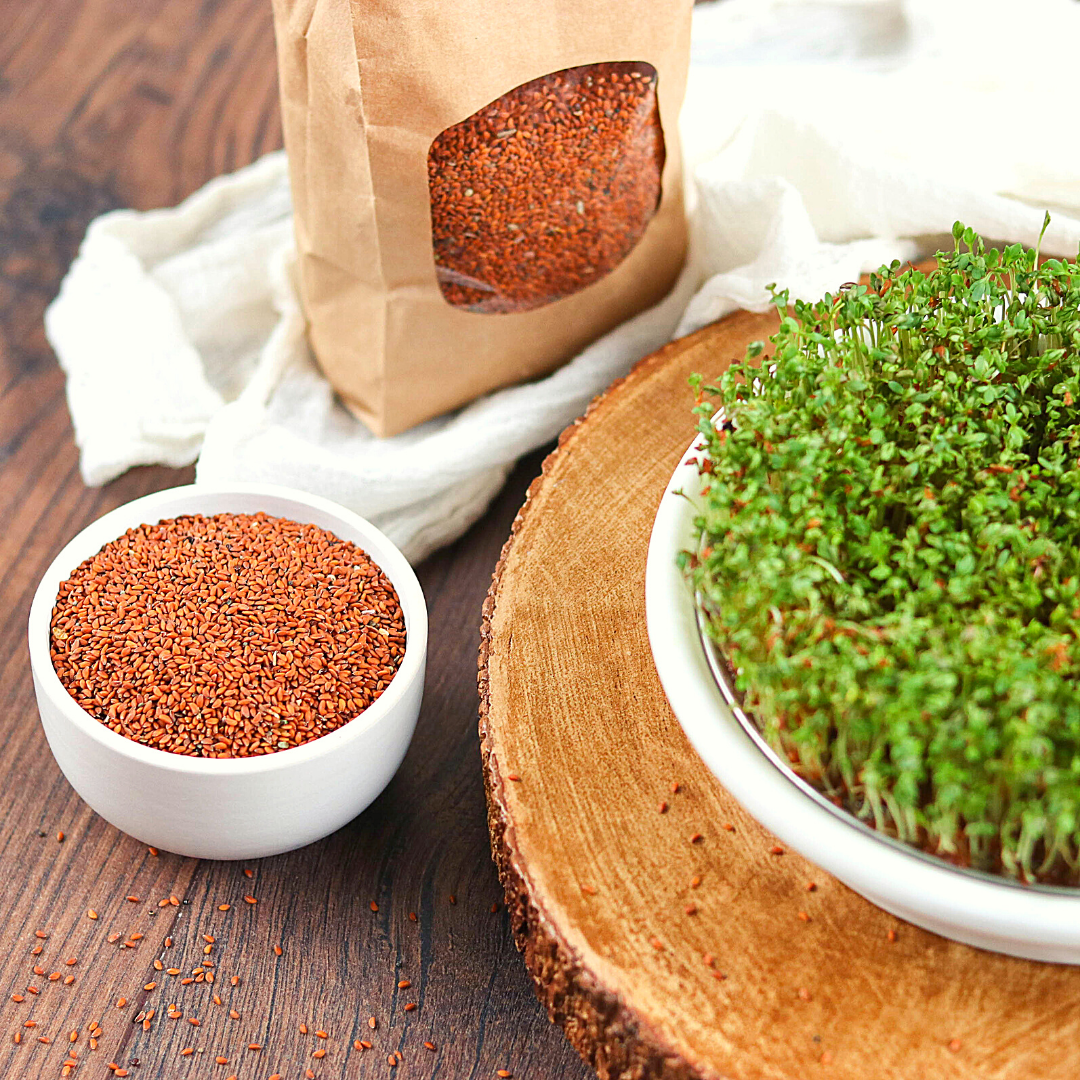 Bio Keimsaaten Kresse | Keimsprossen | aus Österreich