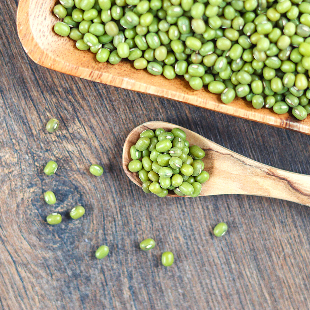 Bio Keimsaaten Mungbohnen | Keimsprossen