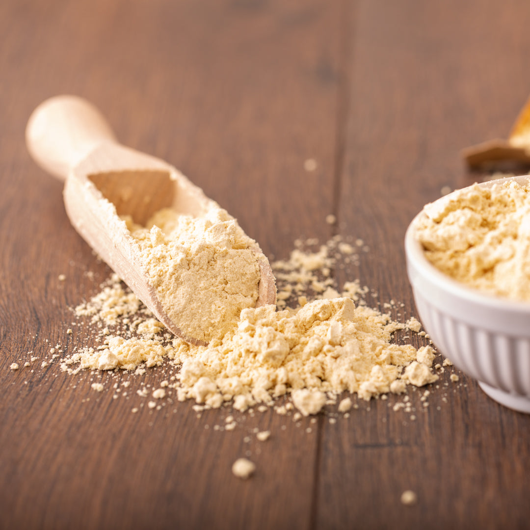 Bio Sojamehl | geröstet