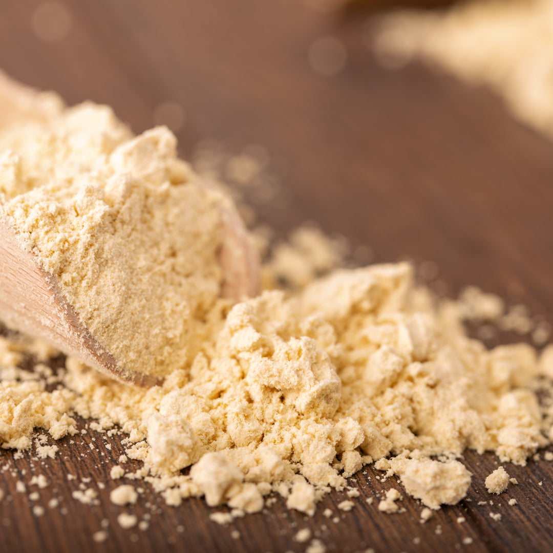 Bio Sojamehl | geröstet