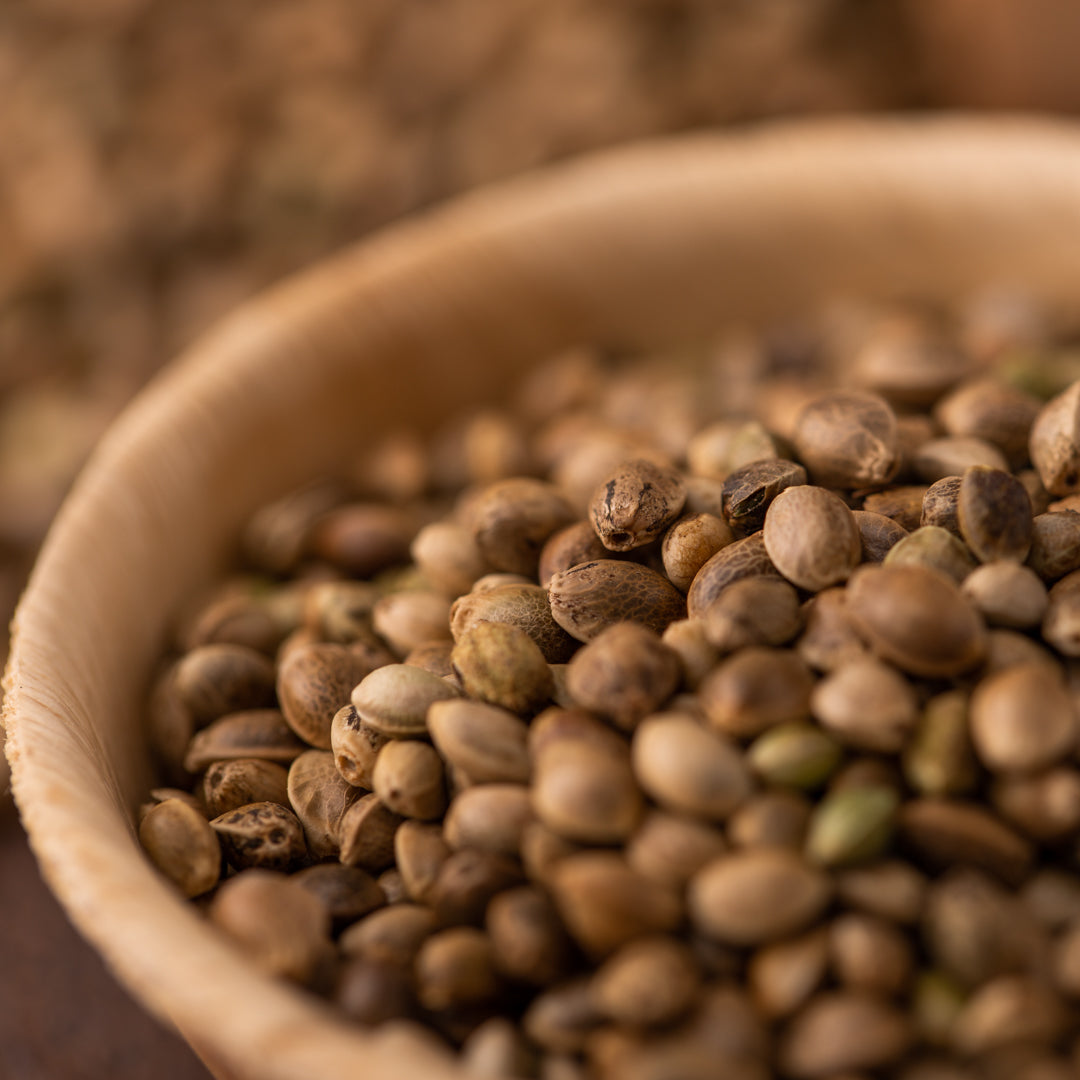 Bio Hanfsamen ungeschält | ungeröstet | aus Frankreich