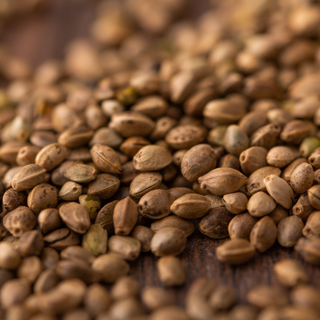 Bio Hanfsamen ungeschält | ungeröstet | aus Frankreich