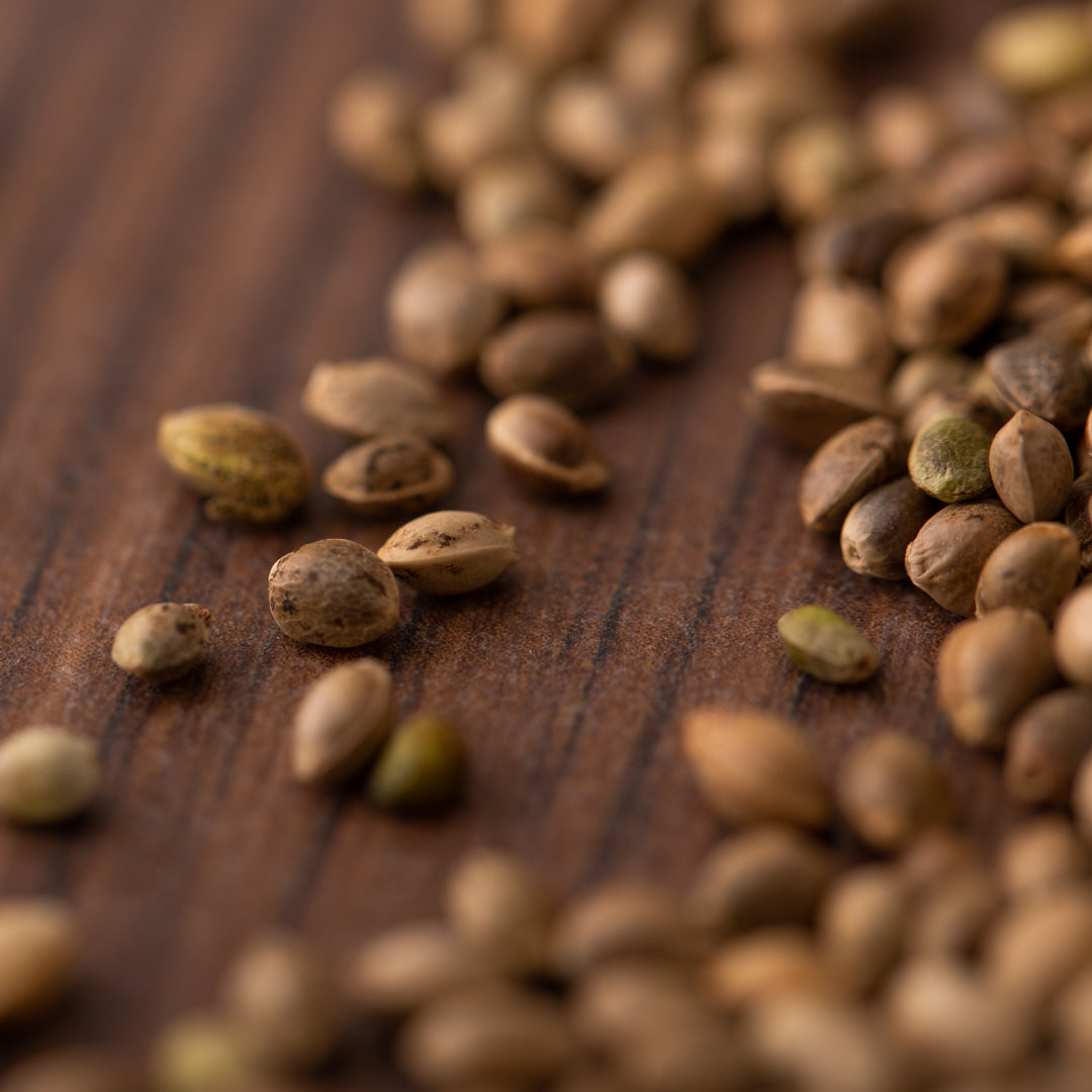 Bio Hanfsamen ungeschält | ungeröstet | aus Frankreich