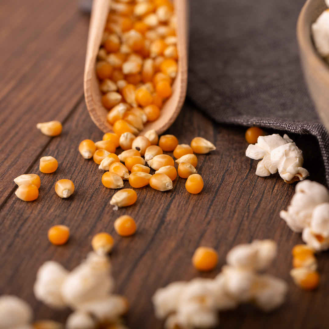 Bio Popcornmais | Popcorn