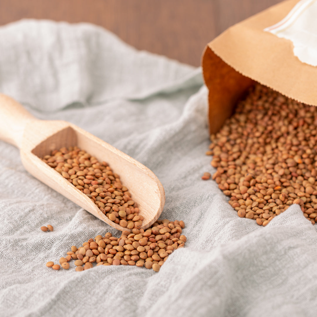 Bio Berglinsen | Braun | Gourmet