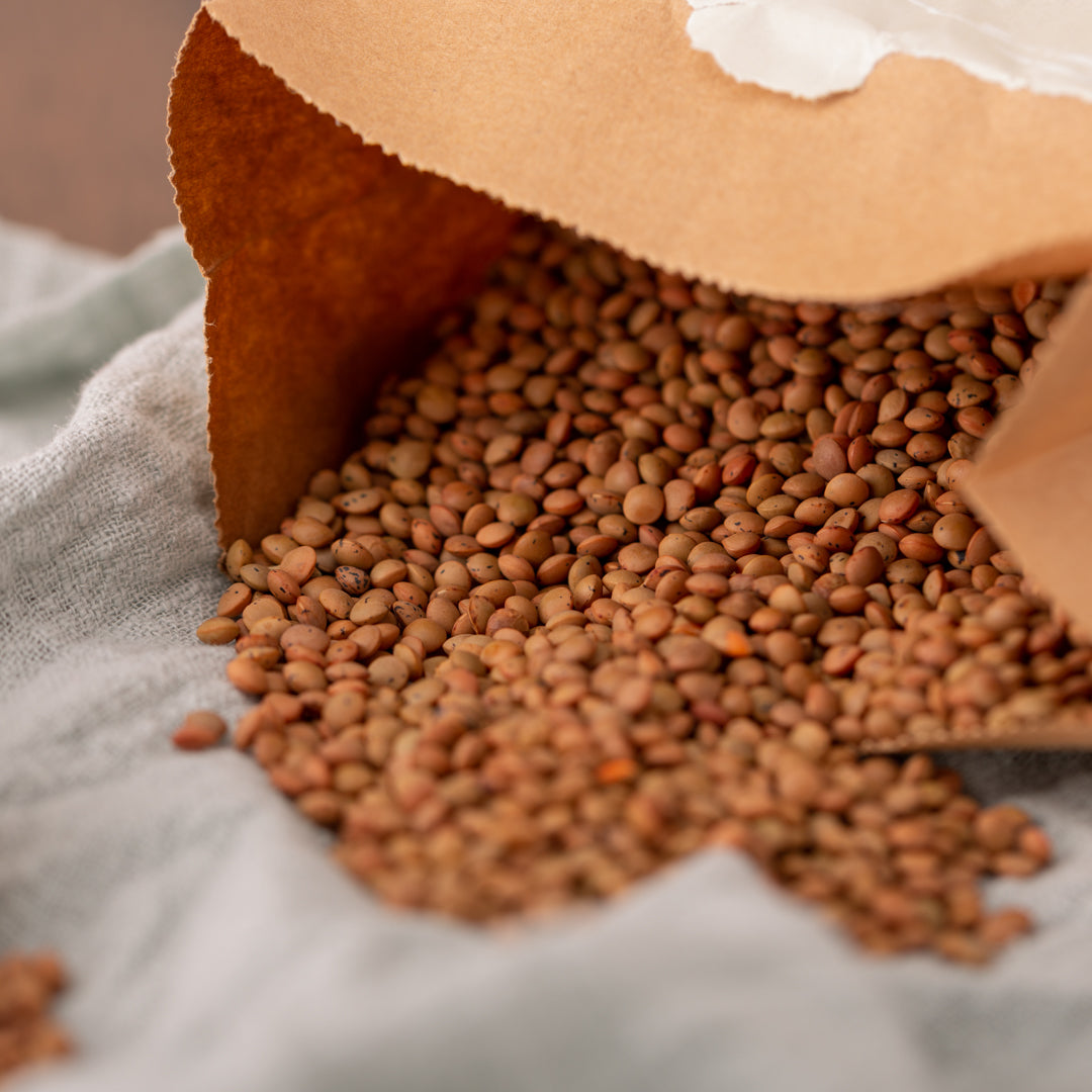 Bio Berglinsen | Braun | Gourmet