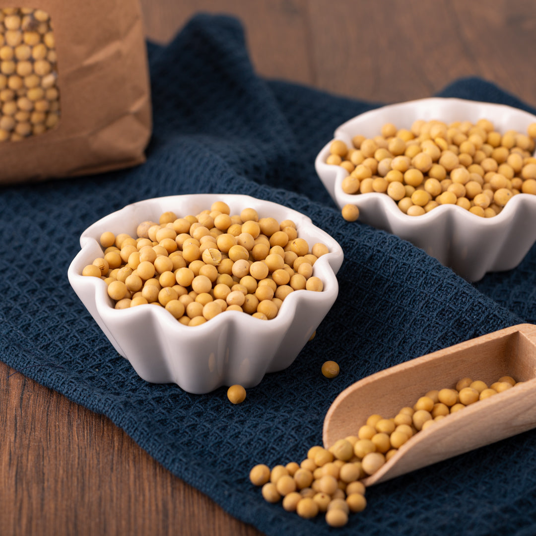 Bio Sojabohnen | getrocknet | unbehandelt