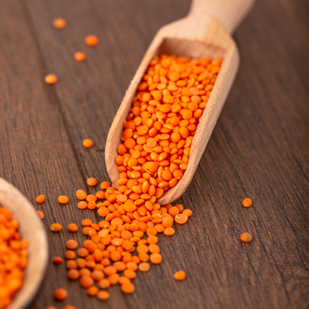 Bio Linsen | rot | Gourmet