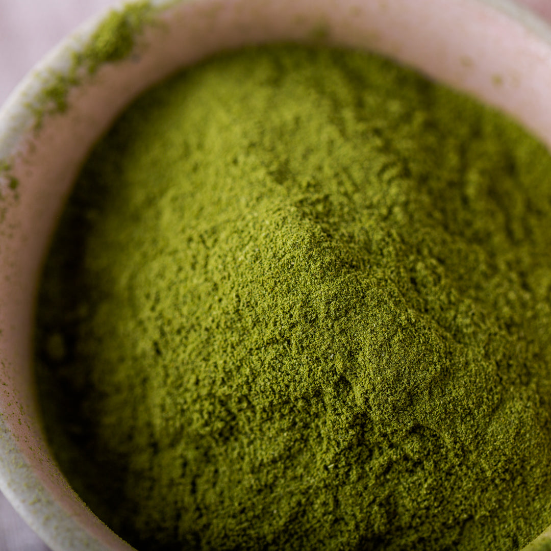 Bio Moringa Pulver