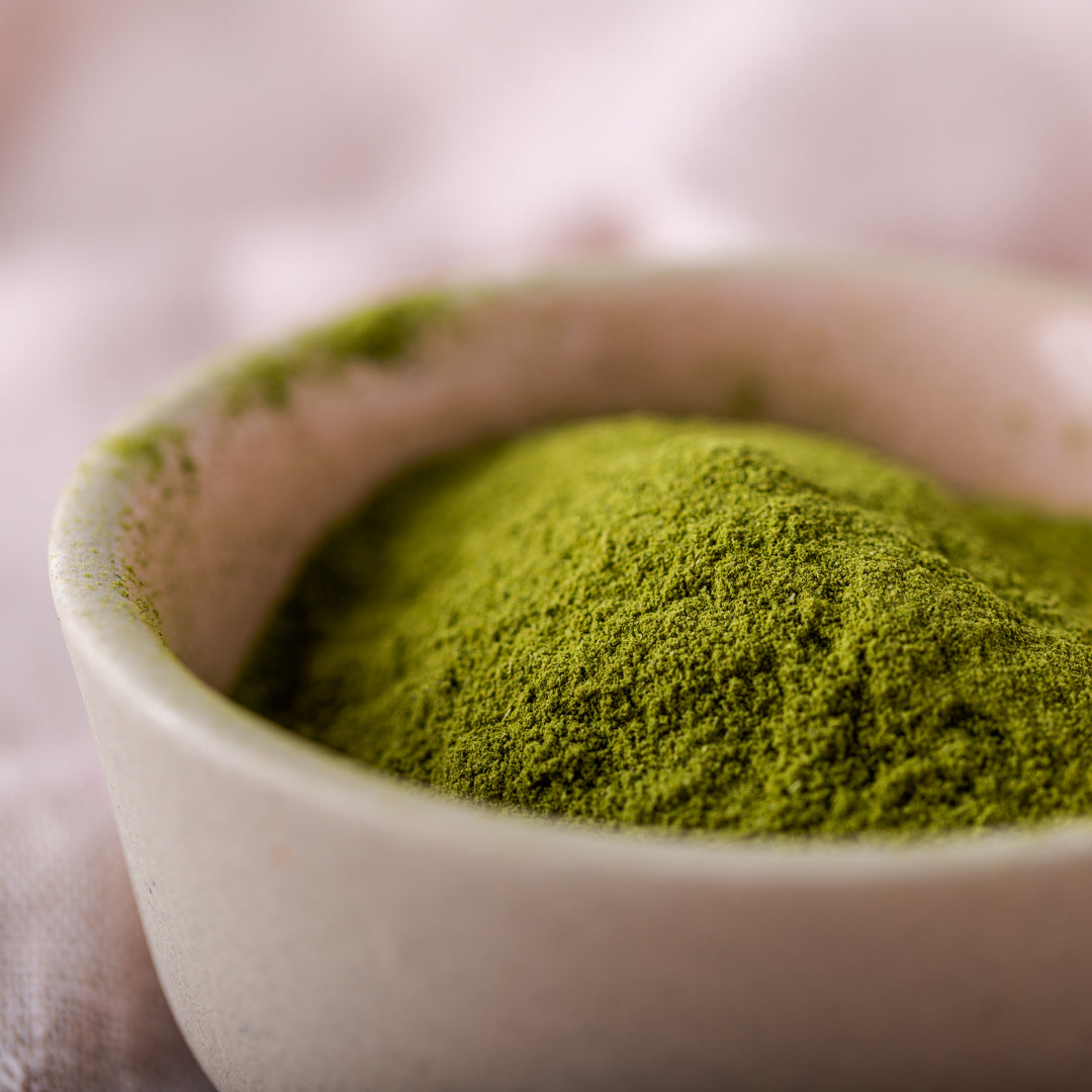 Bio Moringa Pulver