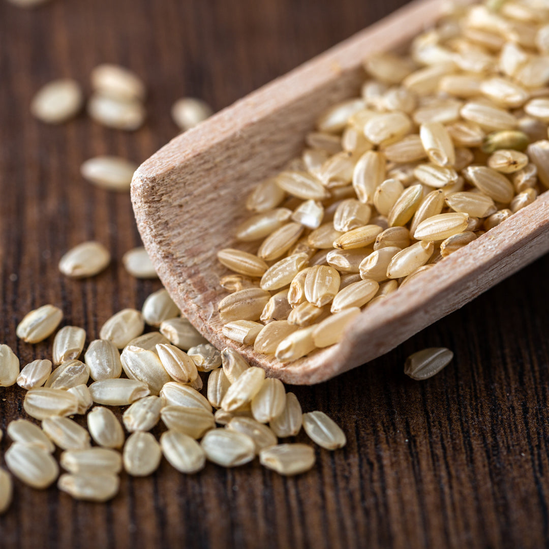 Bio Milchreis | Rundkornreis | vollkorn