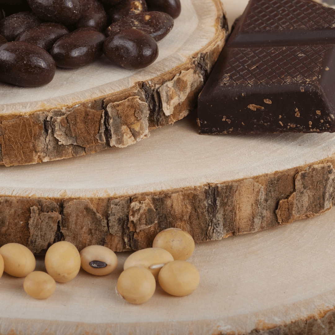 Bio Sojabohnen | in Zartbitterschokolade | vegan