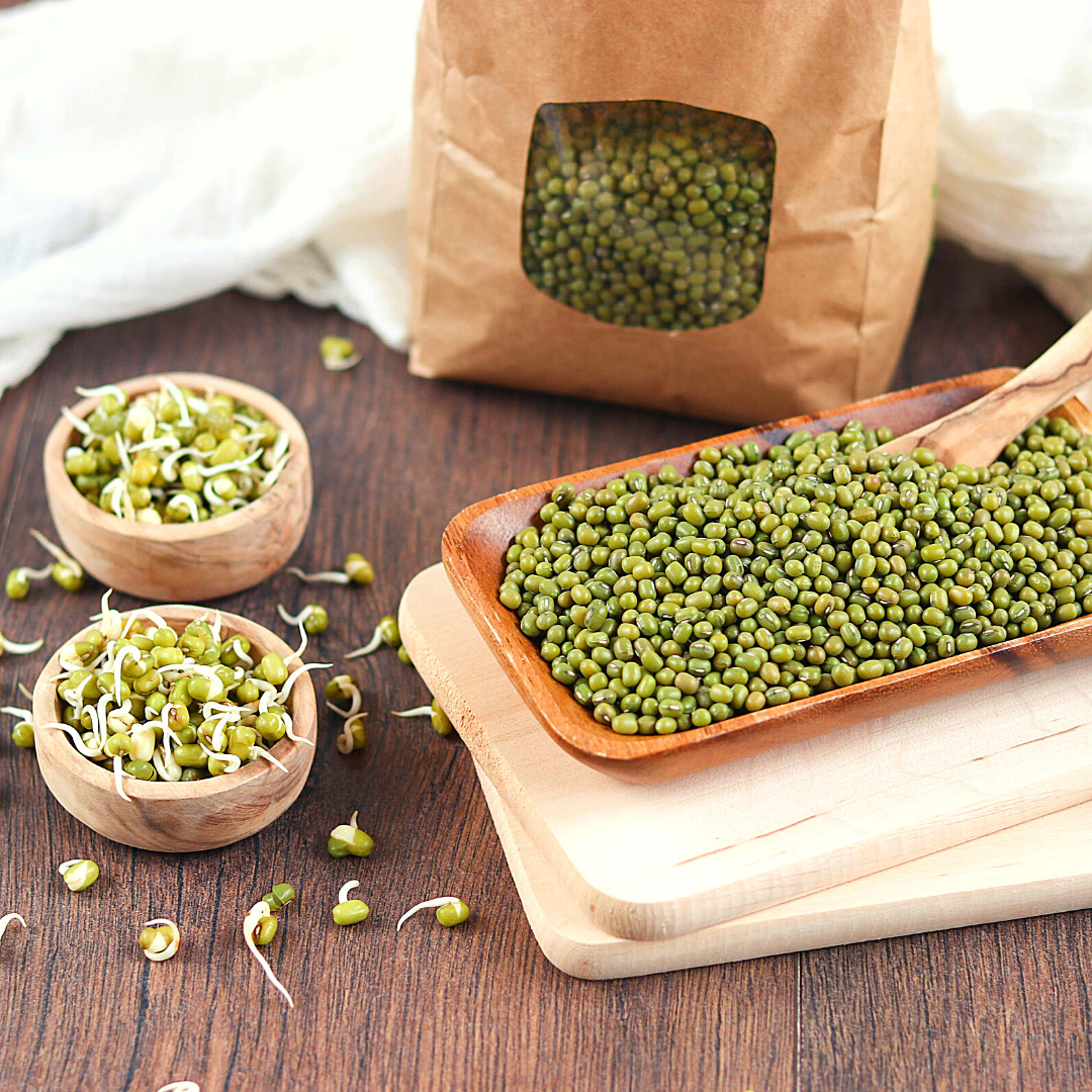 Bio Keimsaaten Mungbohnen | Keimsprossen