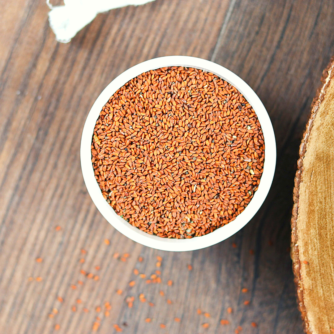 Bio Keimsaaten Kresse | Keimsprossen | aus Österreich