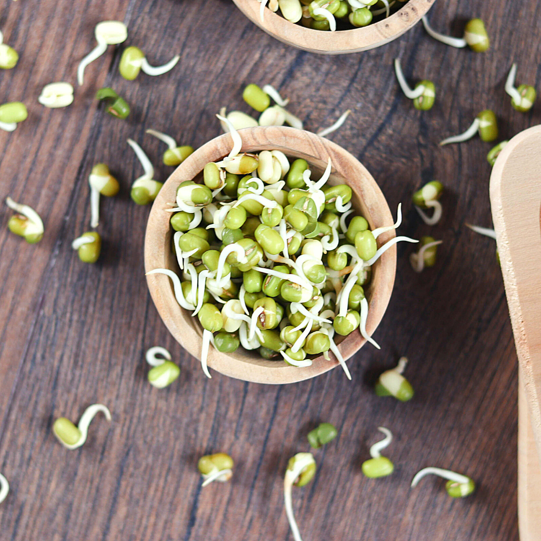 Bio Keimsaaten Mungbohnen | Keimsprossen