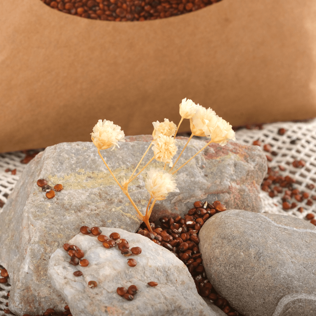 Bio Quinoa | rot