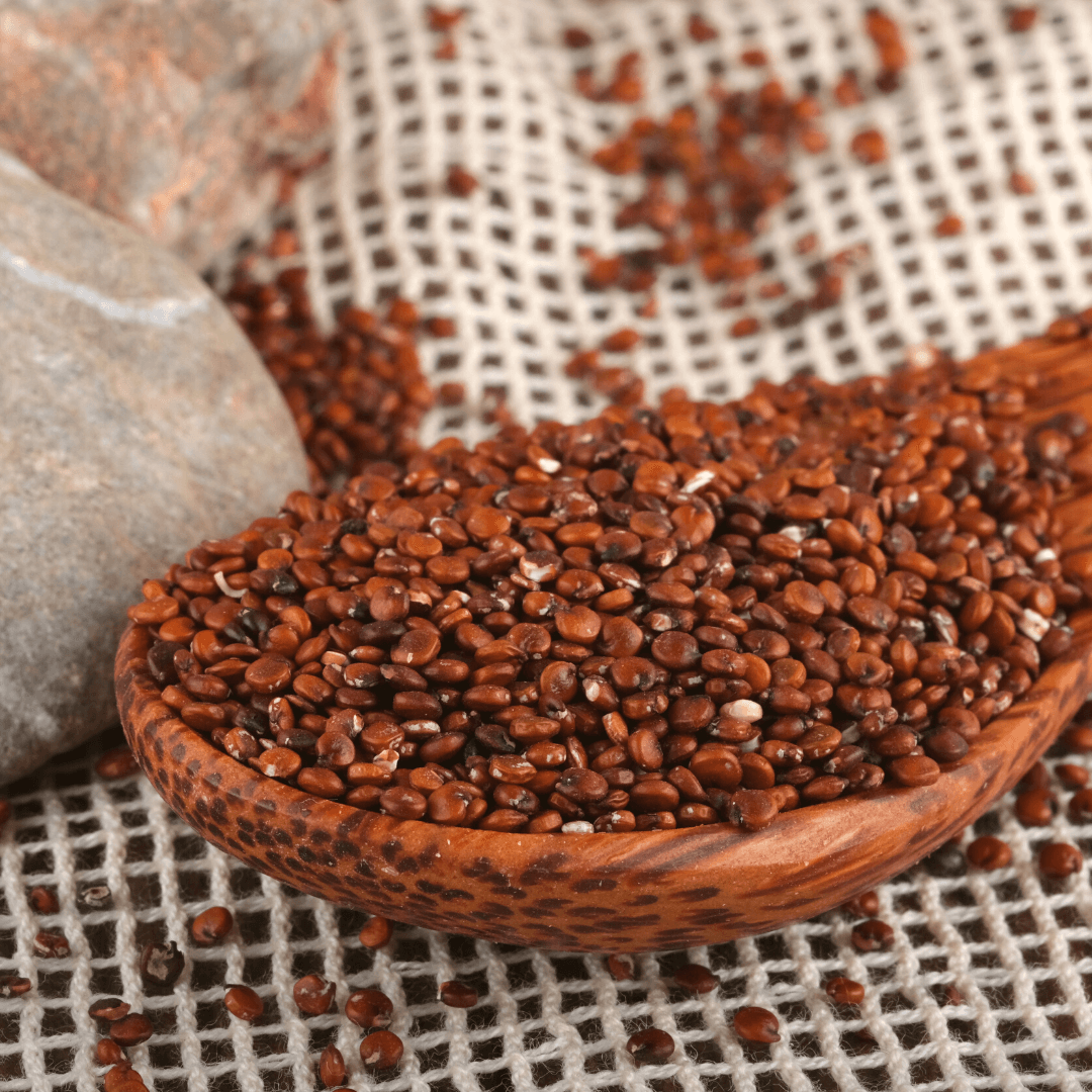 Bio Quinoa | rot