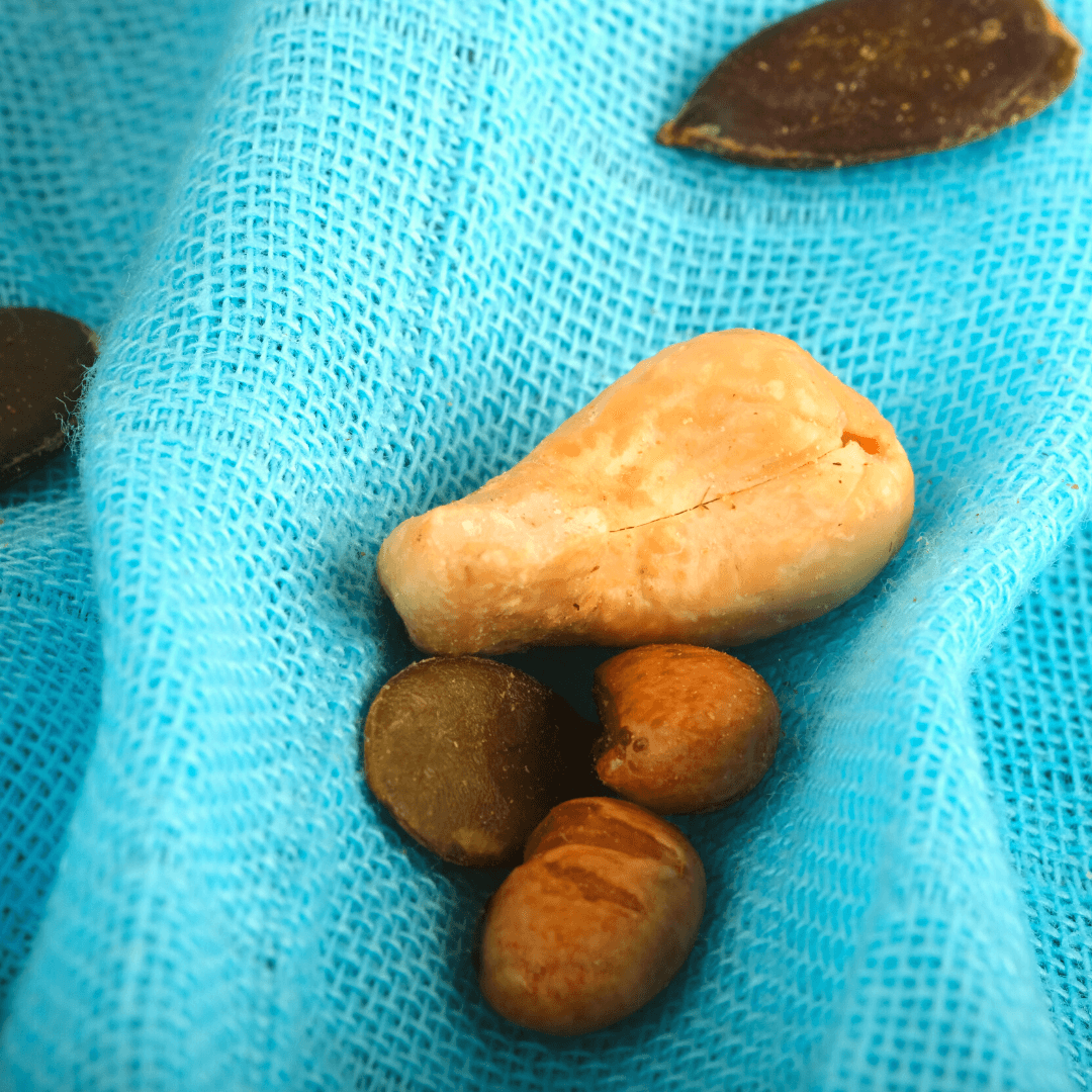 Bio Protein Snack | Fit-Crunch³ | mit 30g Eiweiß