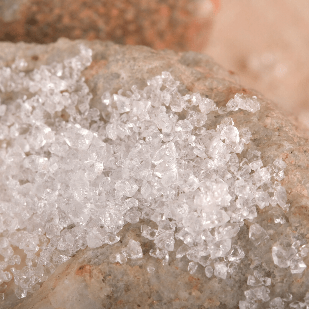 Bio Xylit | Xylitol | Birkenzucker