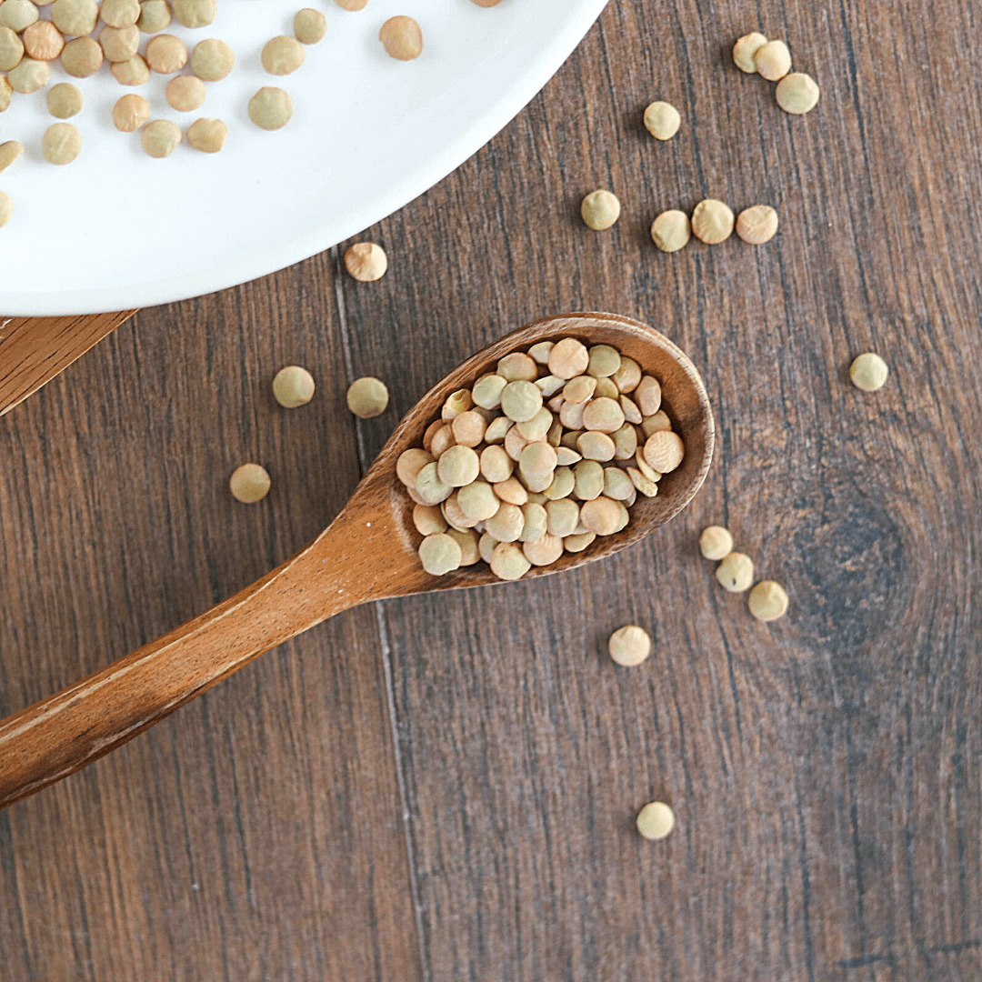 Bio Tellerlinsen | braun