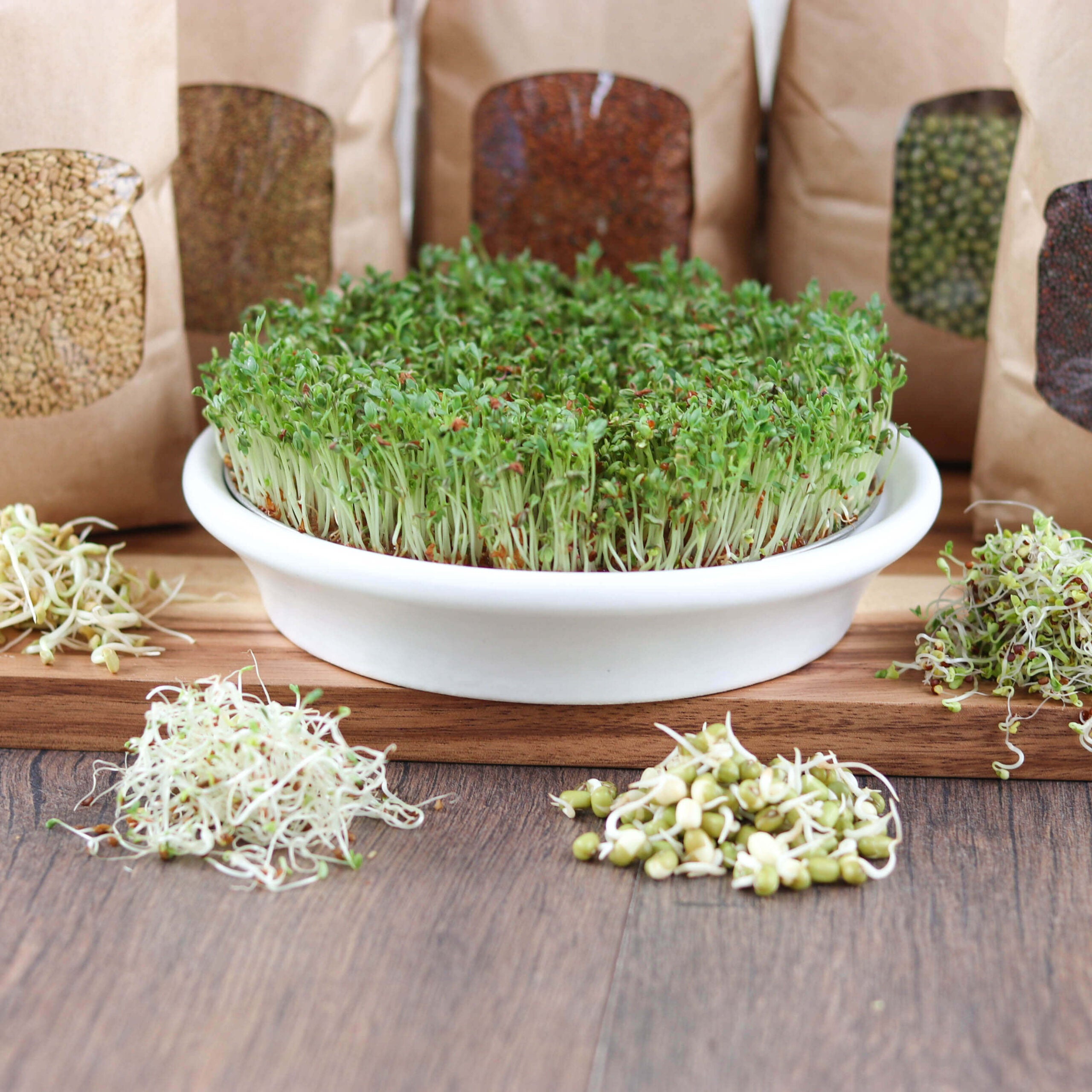 Bio Set: "Lass es keimen!" | 5 x Keimsaaten | 3,0 kg