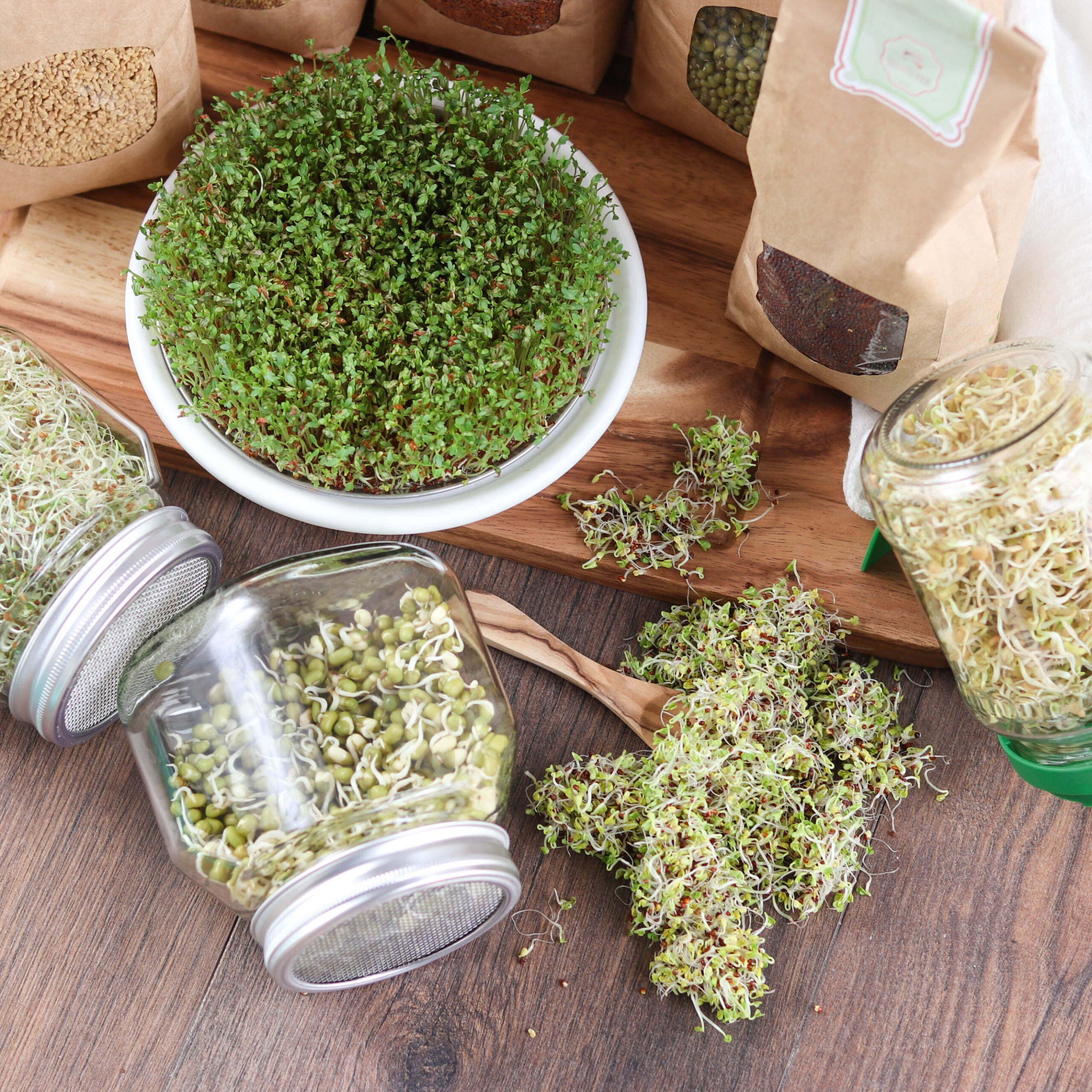 Bio Set: "Lass es keimen!" | 5 x Keimsaaten | 3,0 kg