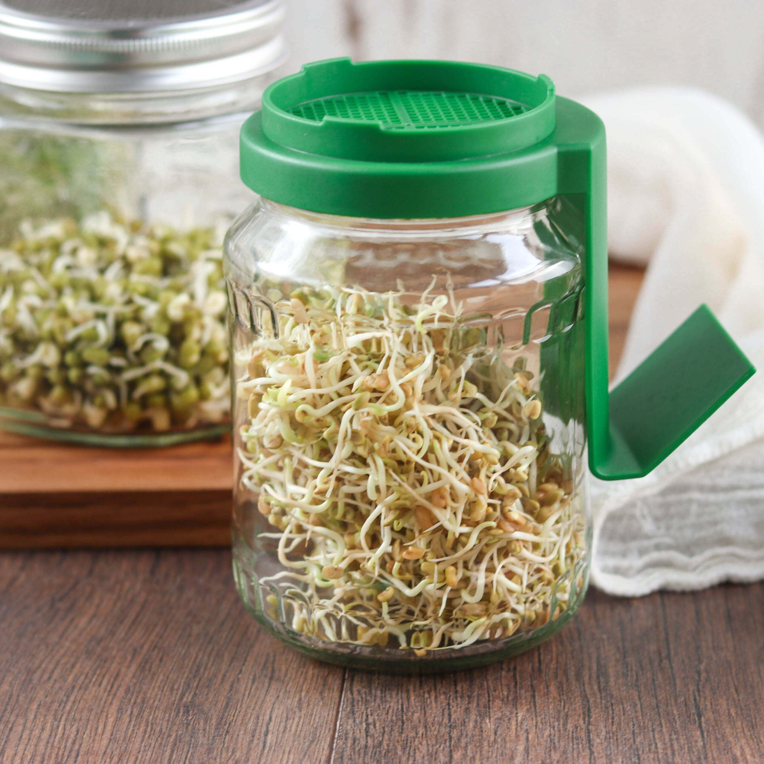 Bio Set: "Lass es keimen!" | 5 x Keimsaaten | 3,0 kg