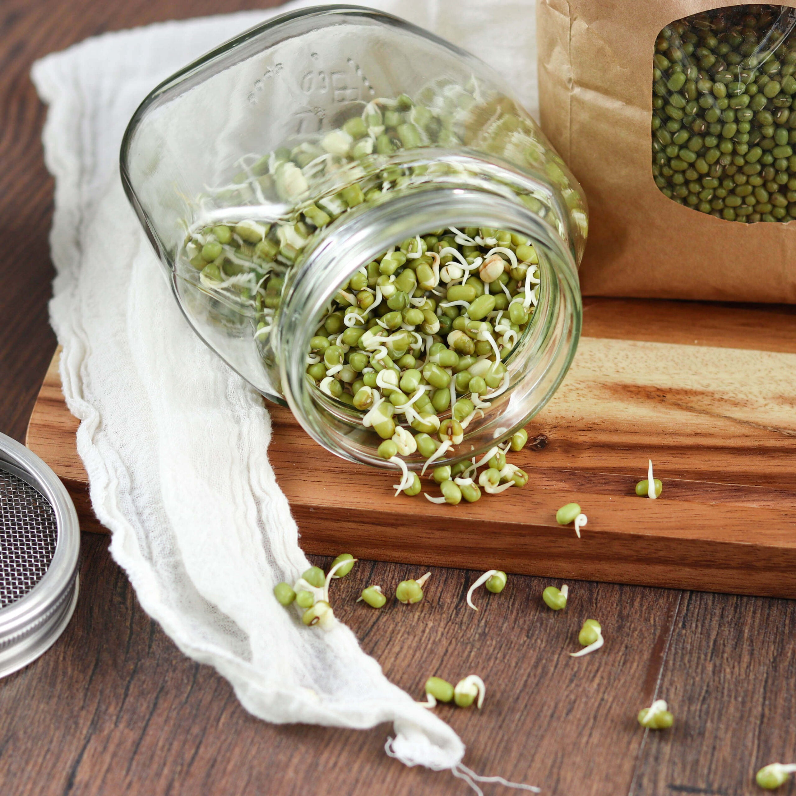 Bio Set: "Lass es keimen!" | 5 x Keimsaaten | 3,0 kg