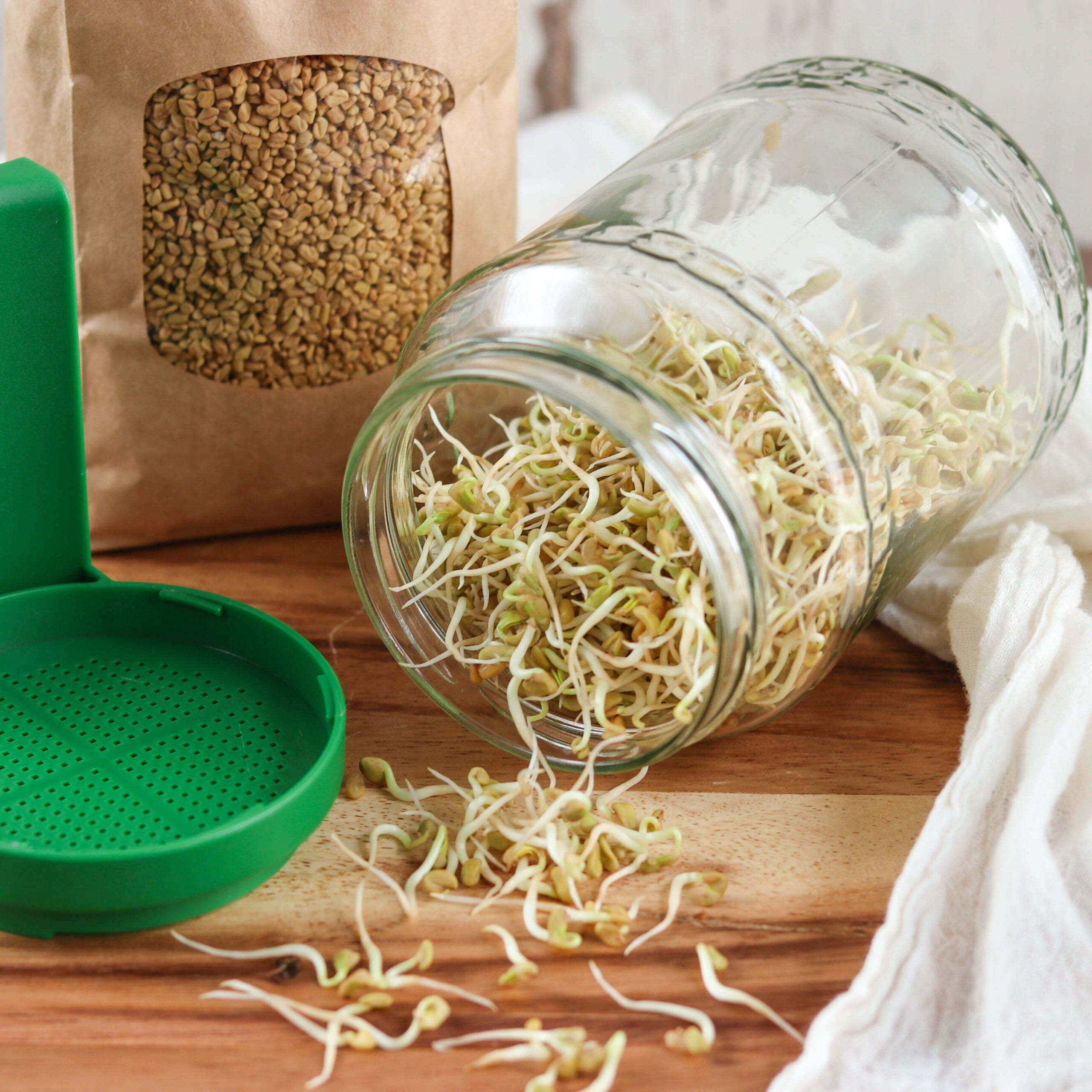 Bio Set: "Lass es keimen!" | 5 x Keimsaaten | 3,0 kg