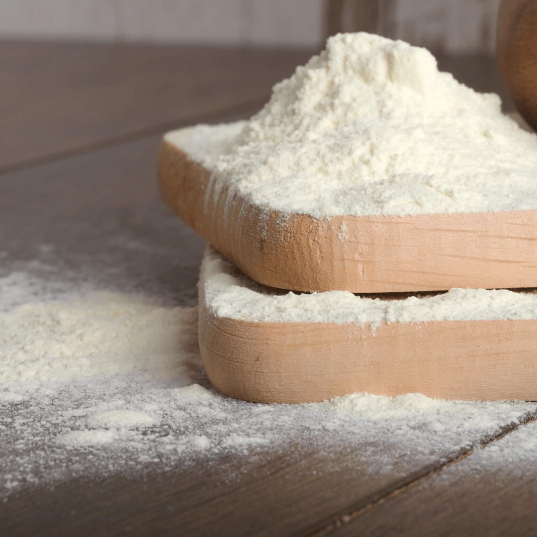 Bio Joghurtpulver | aus Magermilch