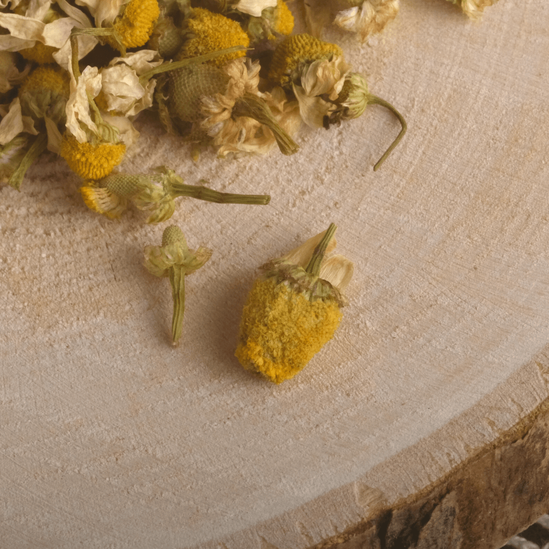 Bio Kamillenblüten | ganz | Tee