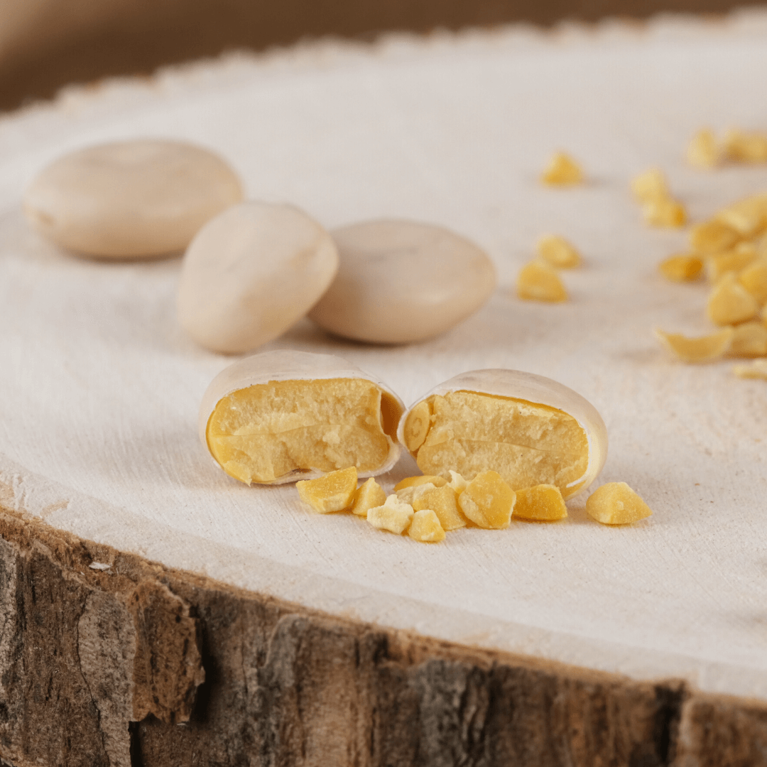 Bio Lupinenschrot | aus Süßlupinen