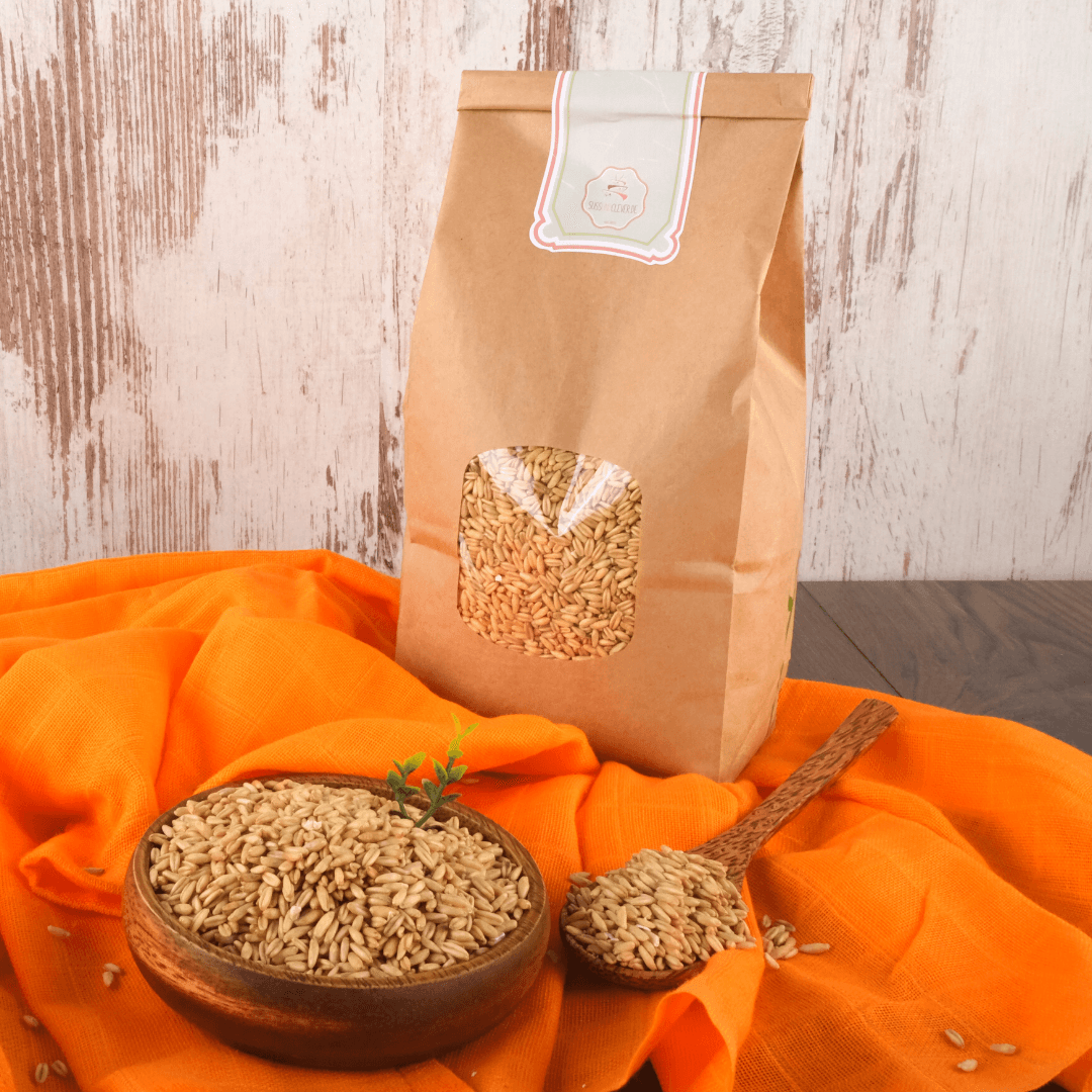 Bio Nackthafer | keimfähig