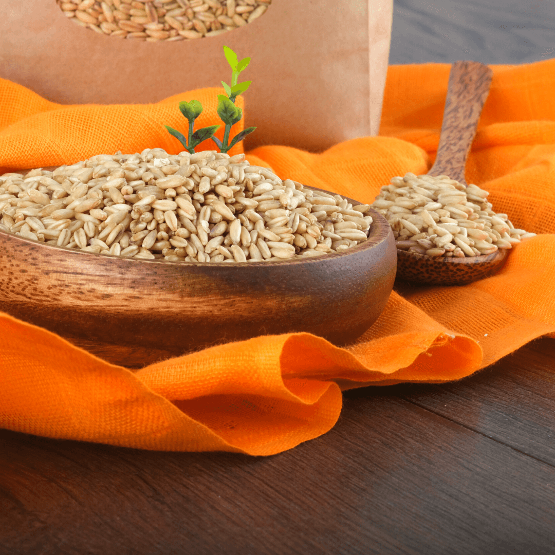 Bio Nackthafer | keimfähig