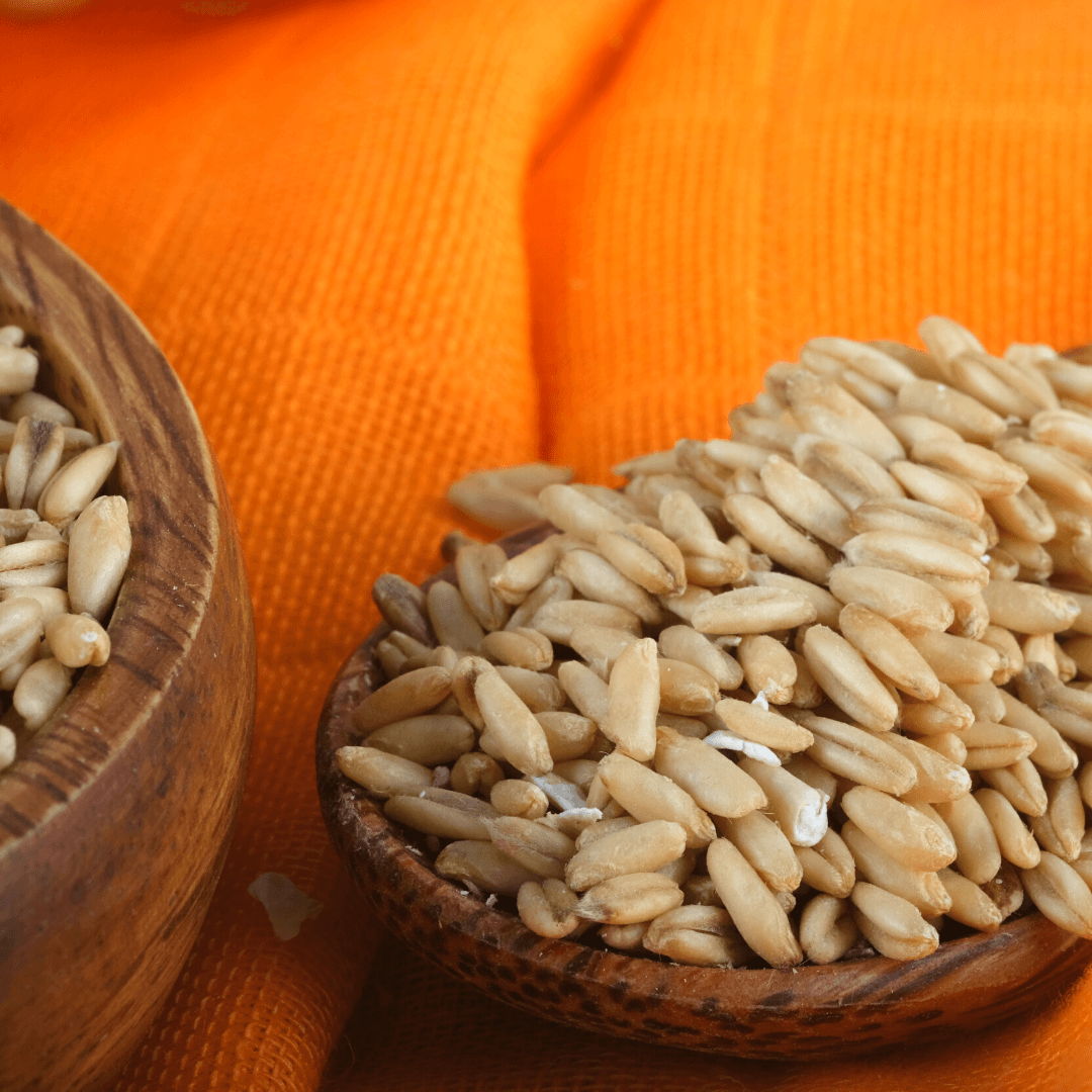 Bio Nackthafer | keimfähig