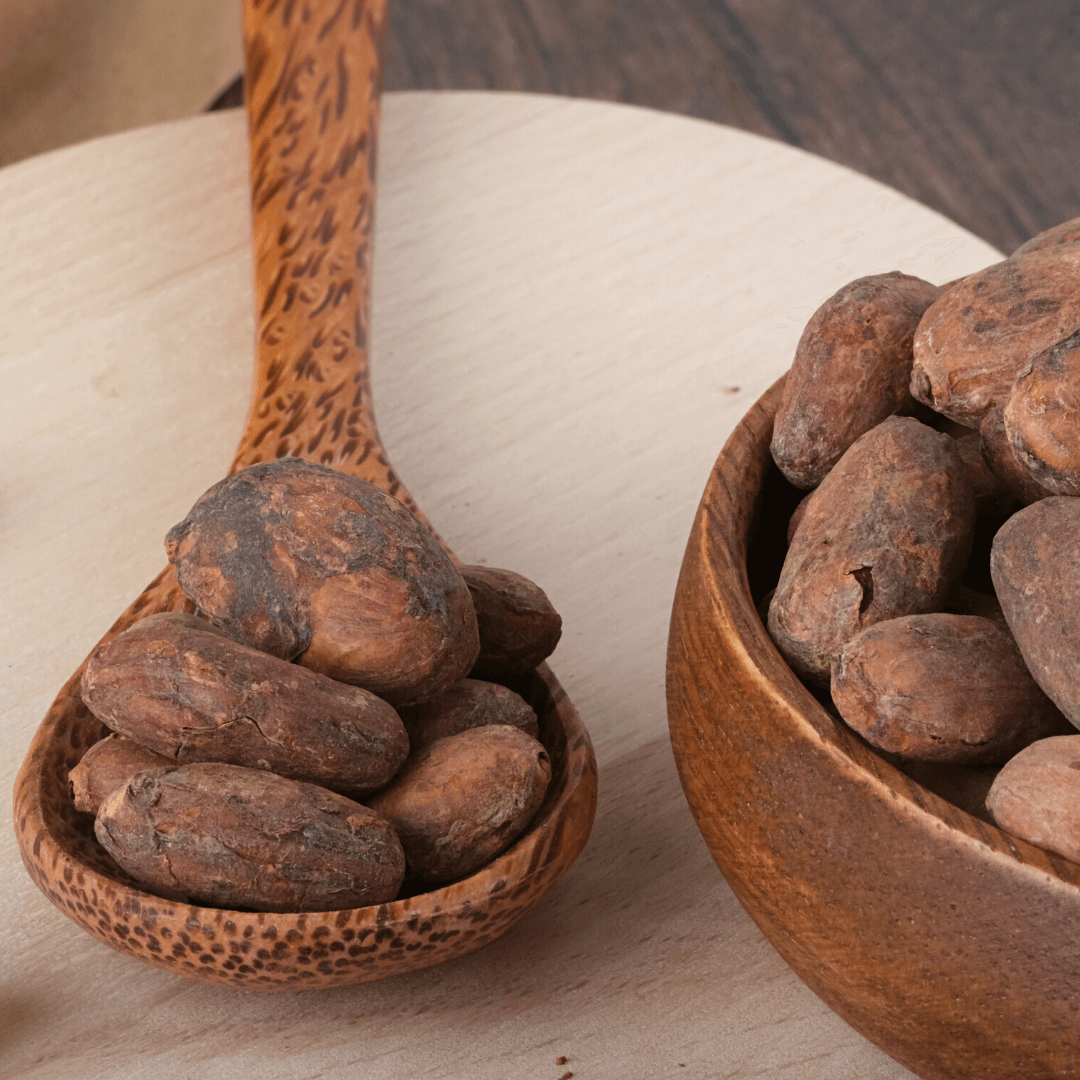 Bio Kakaobohnen | Rohkostqualität | Sorte Criollo | aus Peru