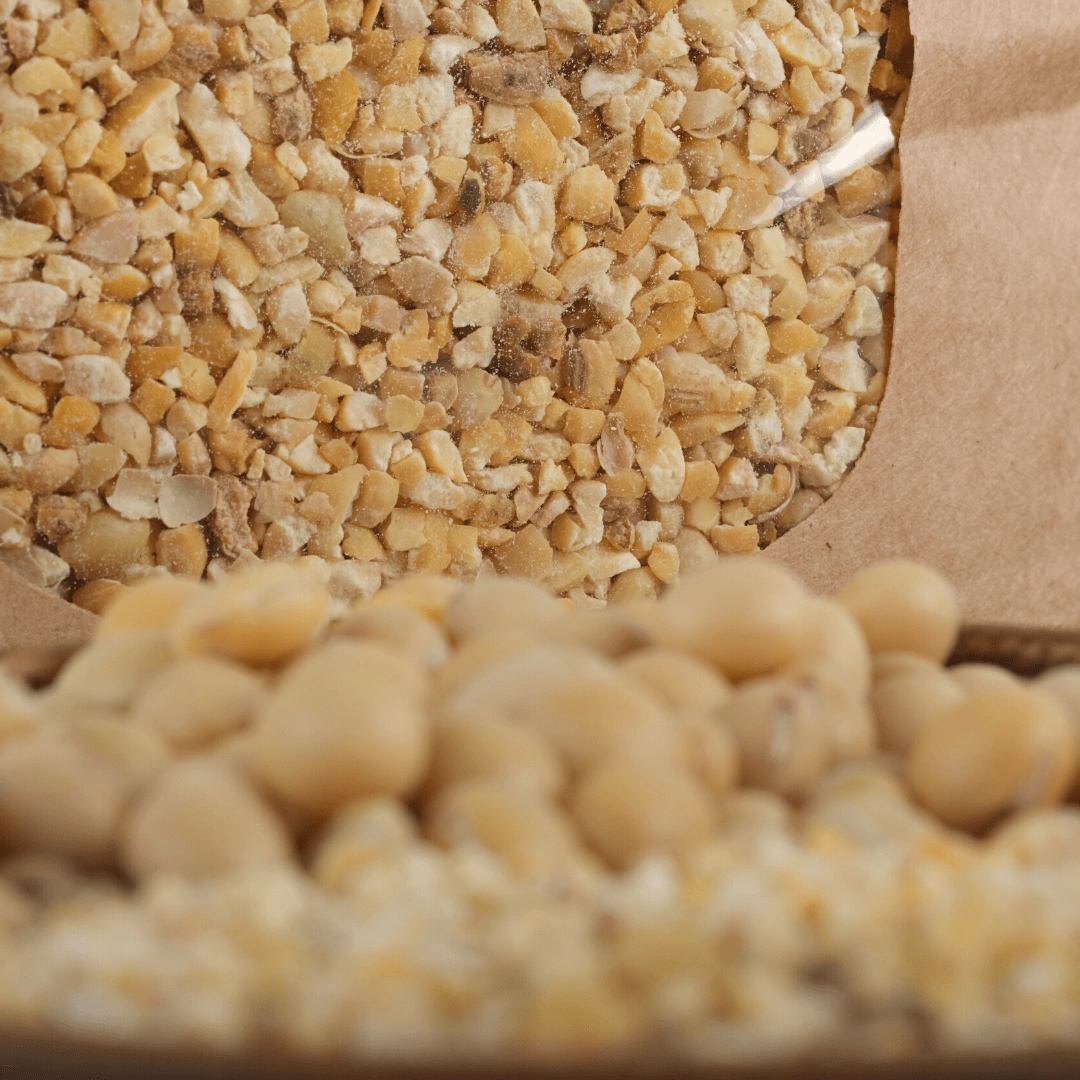Bio Sojagranulat | Sojabohnen geröstet & geschrotet