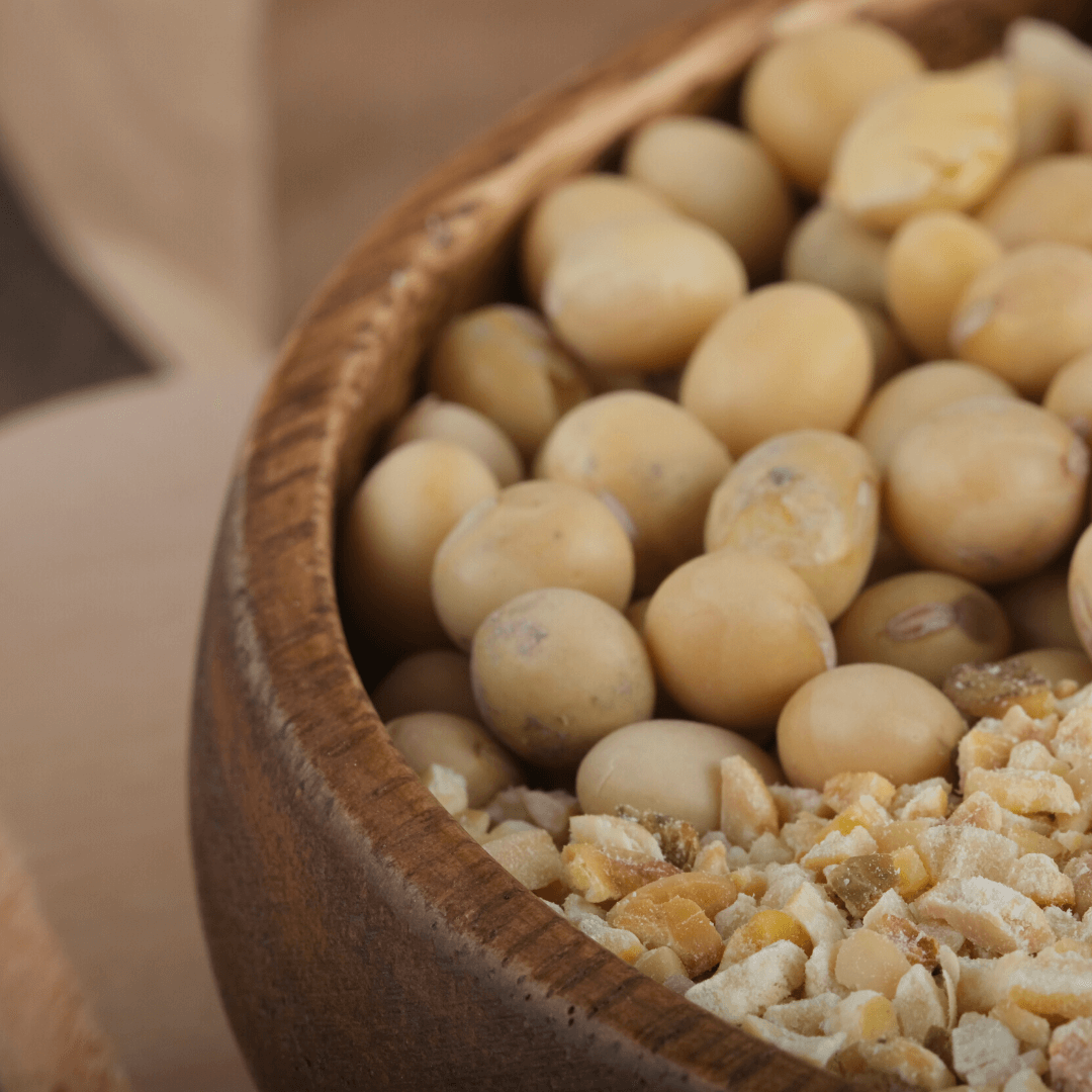 Bio Sojagranulat | Sojabohnen geröstet & geschrotet