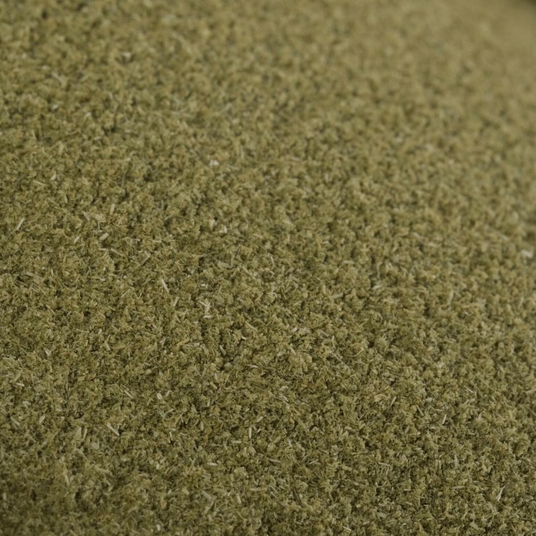 Bio Weizengras Pulver | aus Europa