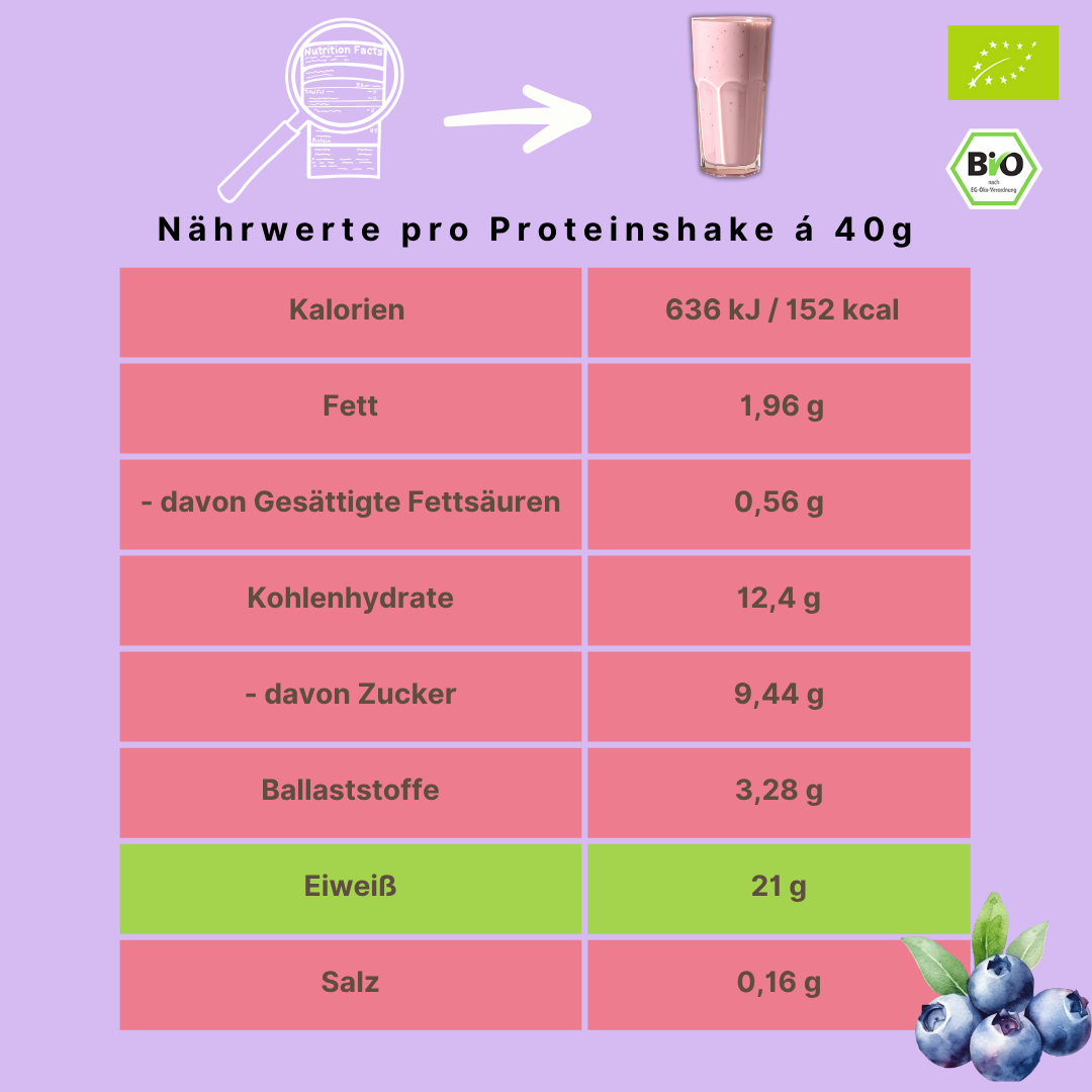 Bio Proteinpulver | "Blueberry-Boost" | Vegan & 52% Protein | mit Dattelsüße