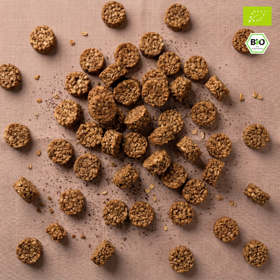 Bio Kokos-Bites | mit Kaffeepulver & Kokosblütenzucker | vegan