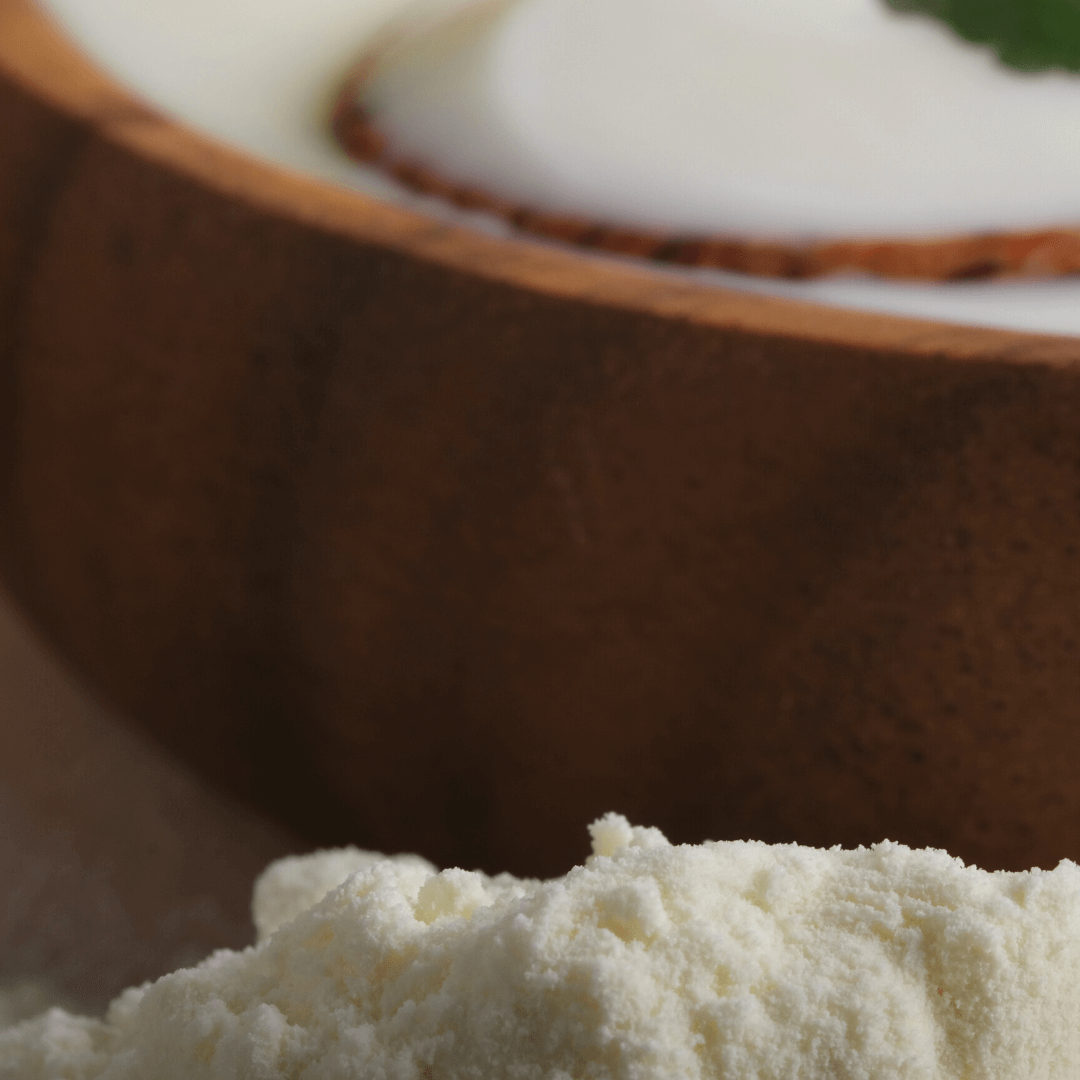 Bio Joghurtpulver | aus Magermilch