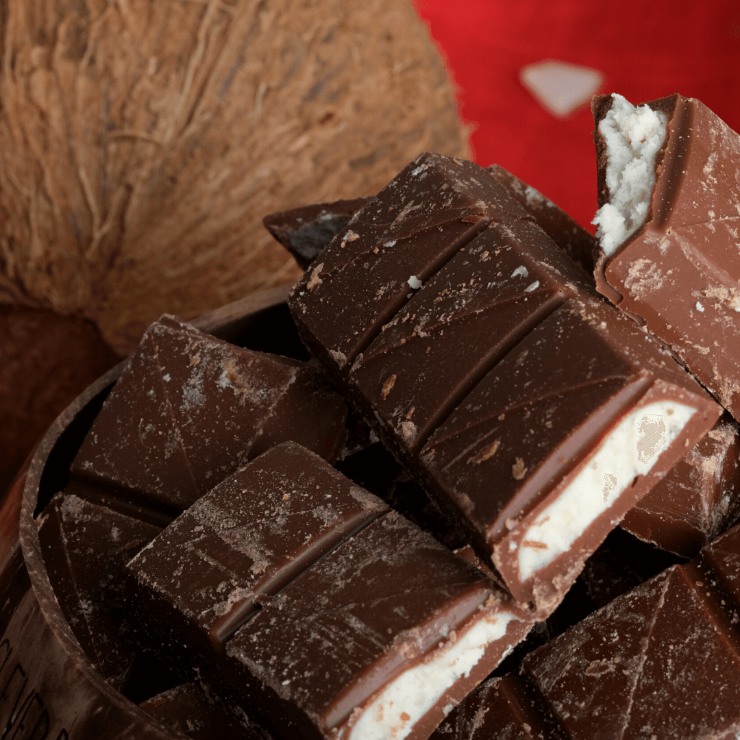 Bio Schokolade | Kokostraum | mit Vollrohrzucker