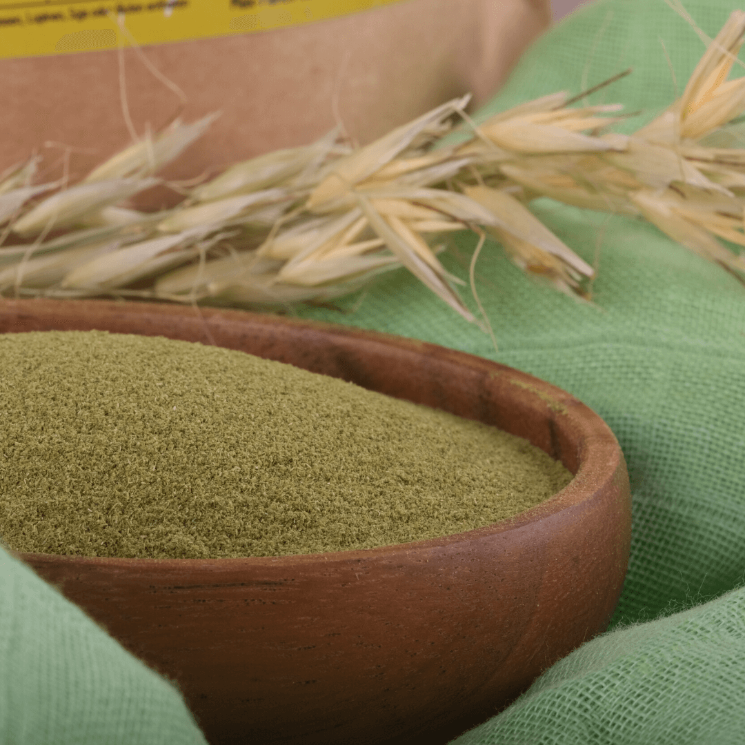 Bio Weizengras Pulver | aus Europa